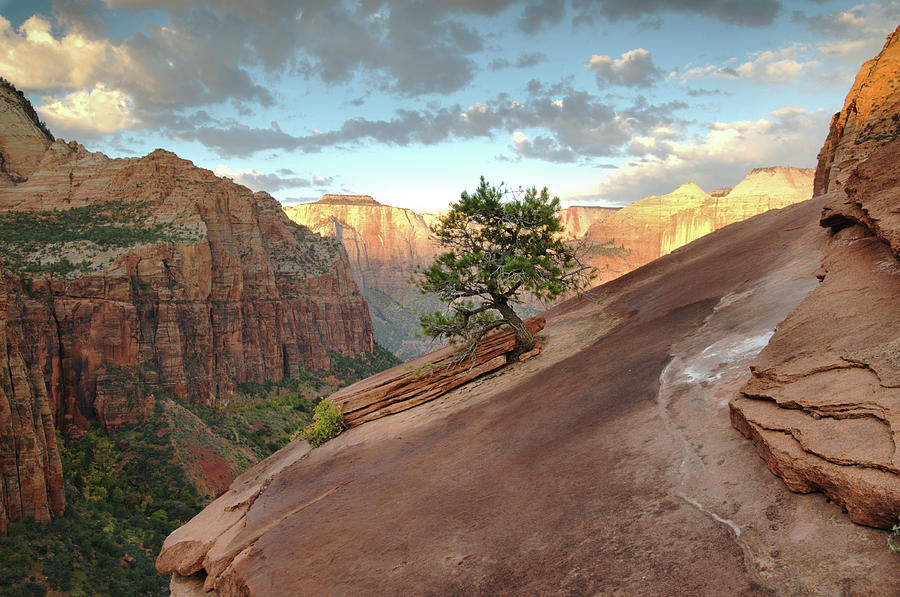 Zion National Park Photograph - Daybreak by Brook Tyler Photography