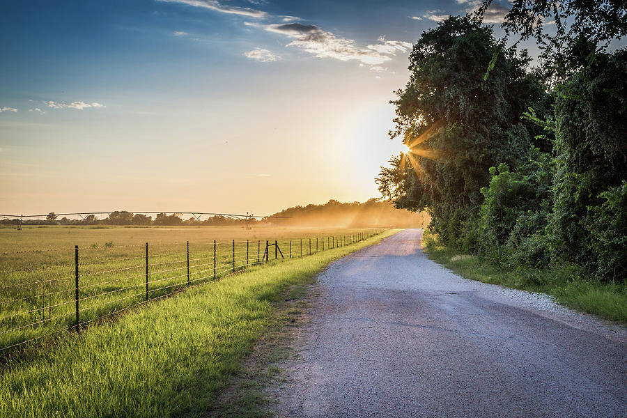 Daylight's Fading Photograph by Michael Wayne Barnett - Fine Art America