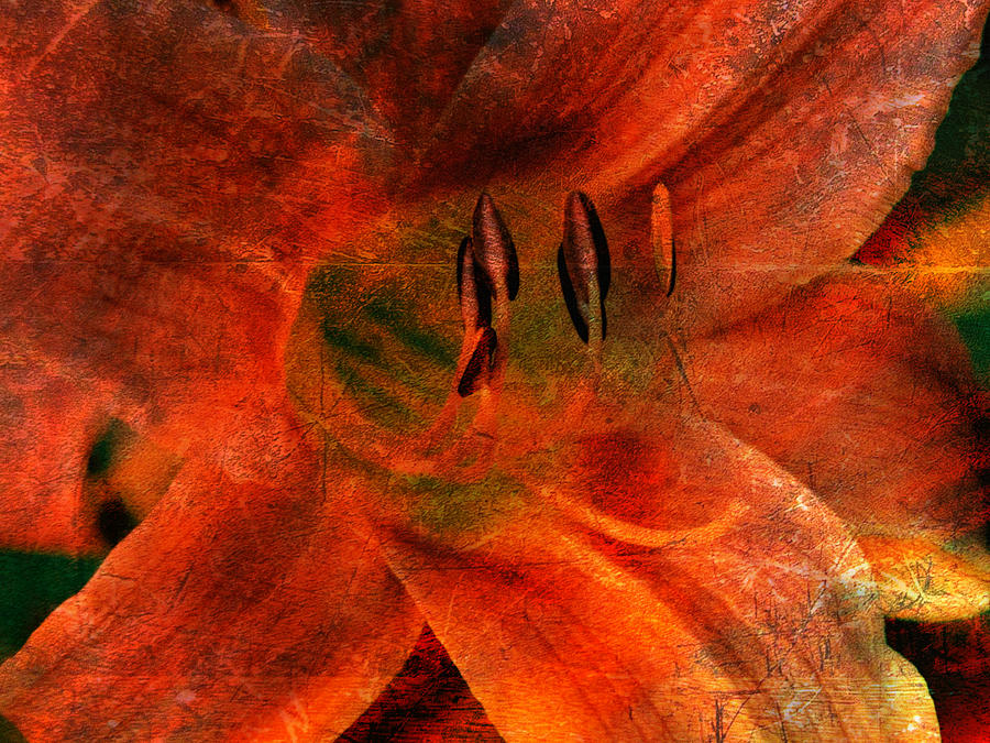 Daylily Abstract ORB Photograph by Mike McBrayer