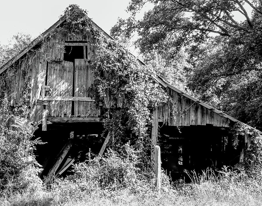 Days Gone By Photograph by Paige Brown - Fine Art America