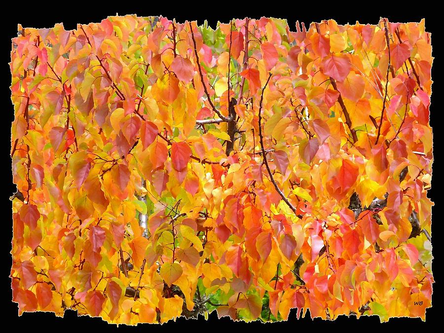 Days Of Autumn 23 Digital Art by Will Borden