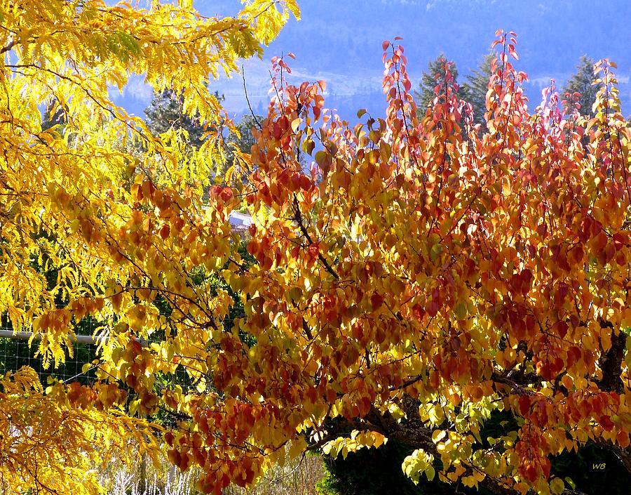 Days Of Autumn 30 Photograph