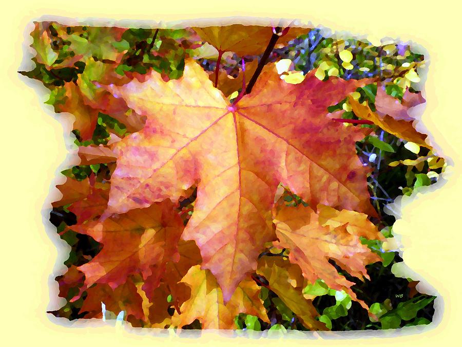 Days Of Autumn 6 Digital Art by Will Borden