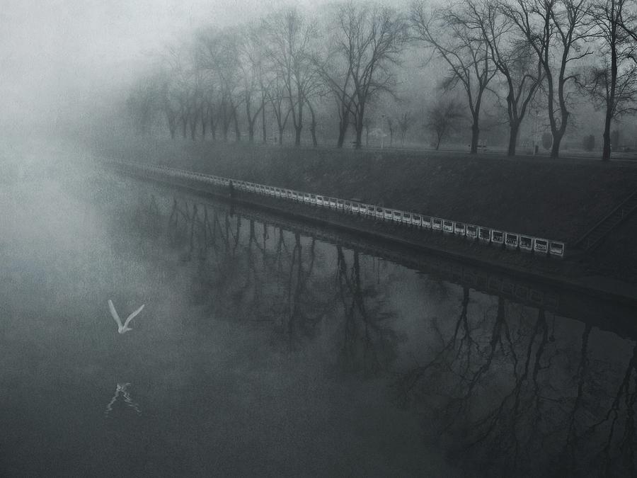 Days Of Mist Photograph by Nicoleta Gabor