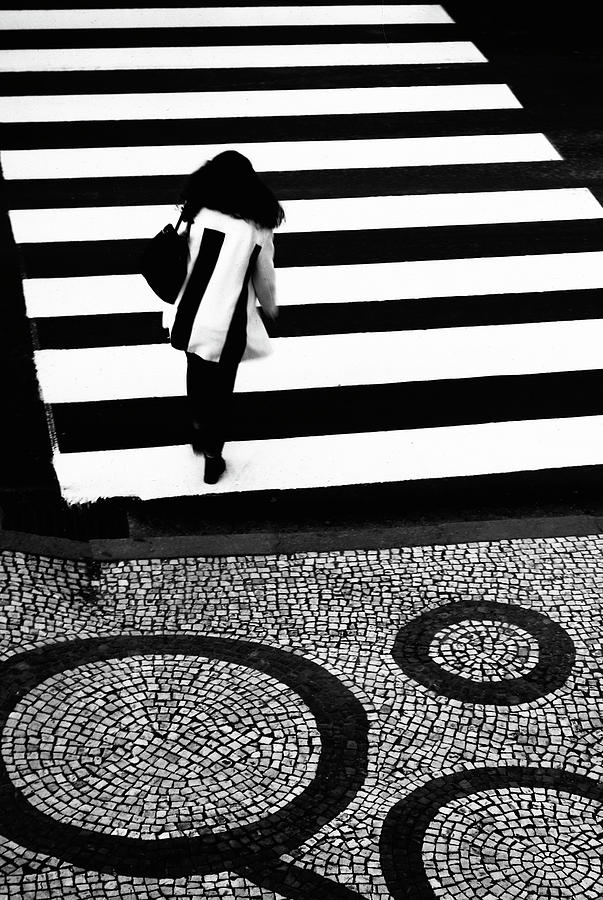 Zebra Photograph - Days Of Static by Paulo Abrantes