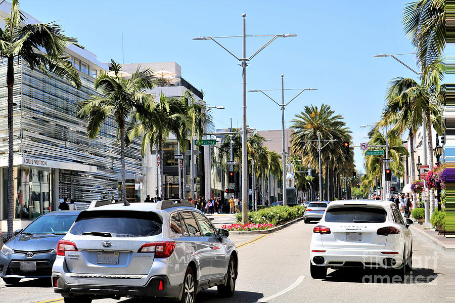 Rodeo Drive Sign Print Palm Tree Print Fashion Wall Art 