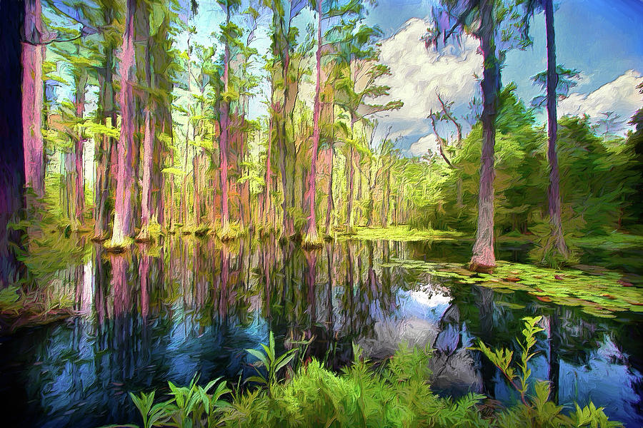 Dazzling Cypress Reflections AP Painting by Dan Carmichael