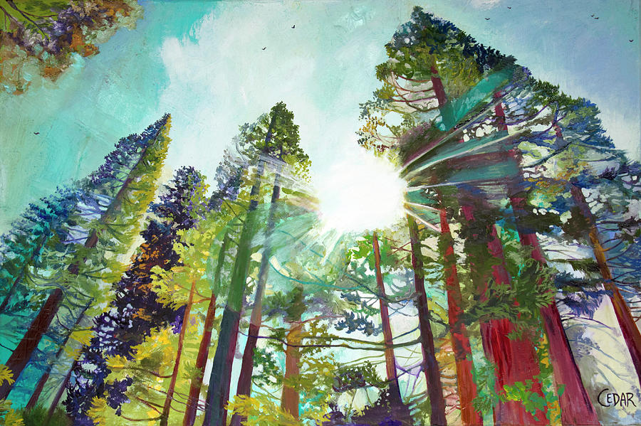 Sequoia National Park Painting - Dazzling Sky by Cedar Lee