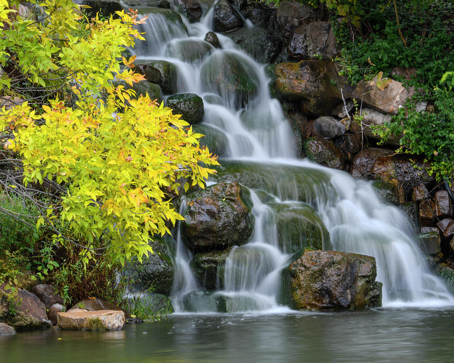 DDP DJD Autumn Bradley waterfall 8x10 horizontal Photograph by David Drew