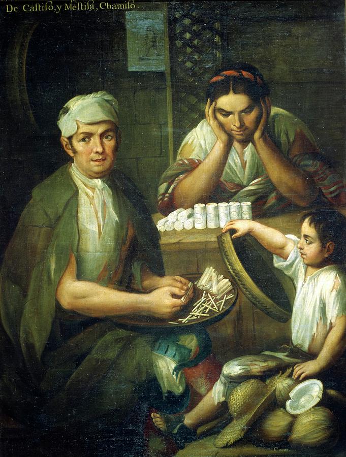 Misery Movie Painting - De Castizo y Mestiza Chamizo, 1763. by Album