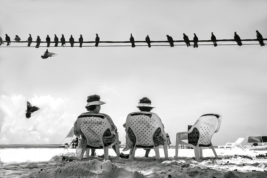 Bird Photograph - De Relax by Elia Baquero Cruz