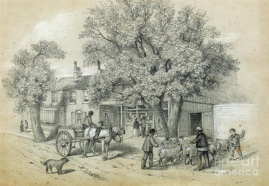 Deacons Shop, Butcher,  Kilburn, Opposite Paddock Villias, Near The Brewery Drawing by English School