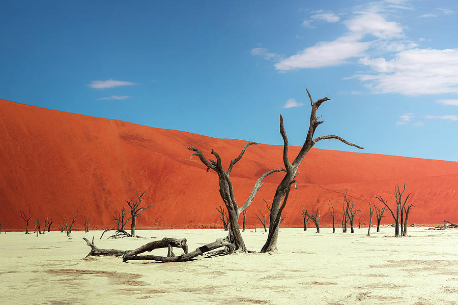 Sand Dune Wall Art Deadvlei Desert Dead Tree Canvas Print Namibia Africa