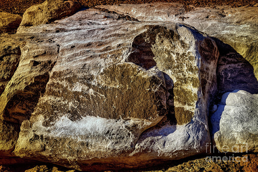 Dead Critter by Jon Burch Photography Dead Critter by Jon Burch Photography