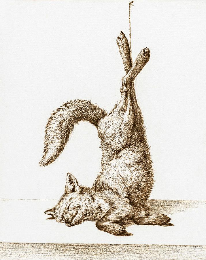 Wildlife Painting - Dead fox, hanging from his paws 1815 by Jean Bernard 1775-1883 by Celestial Images