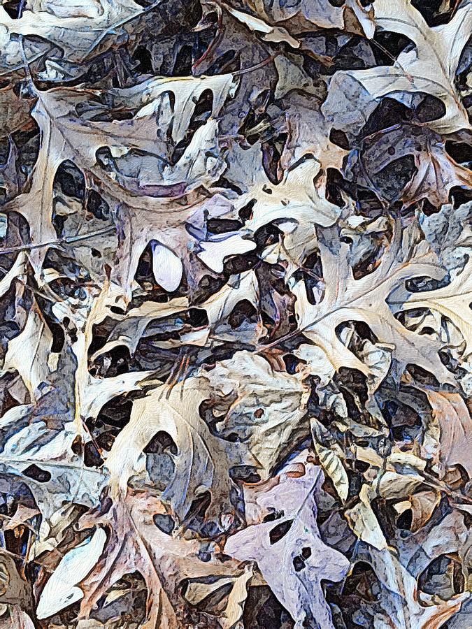 Dead leaves at the end of fall Digital Art by Steve Glines