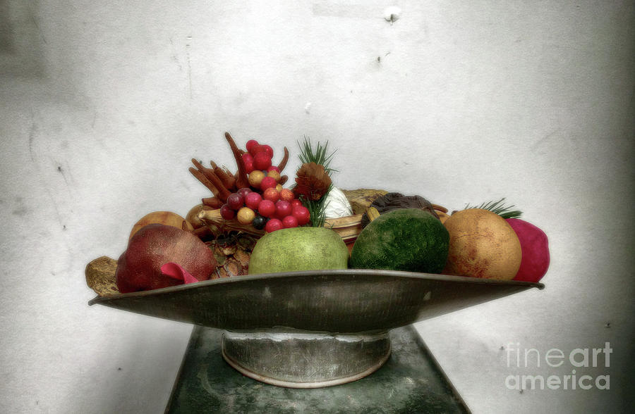 Still-life Photograph - Dead Life by Steven Digman Still-life Photograph - Dead Life by Steven Digman