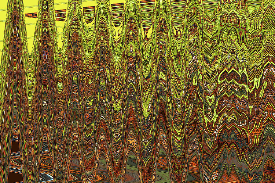 Dead Saguaro Ribs Abstract ew1 Digital Art by Tom Janca