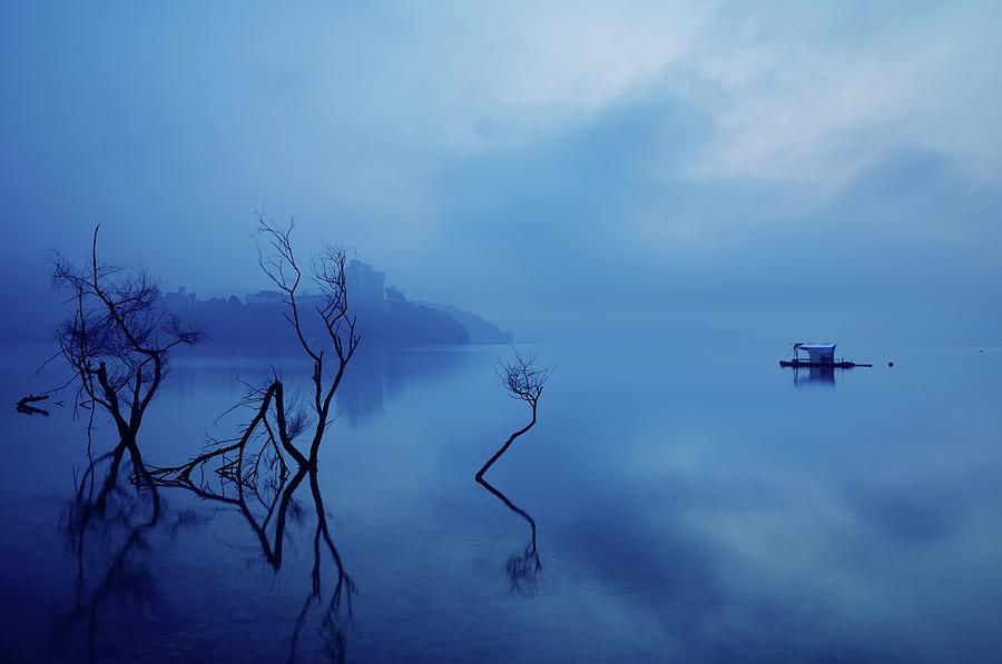 Dead Tree Reflection On Lake At Dawn Photograph by Joyoyo Chen