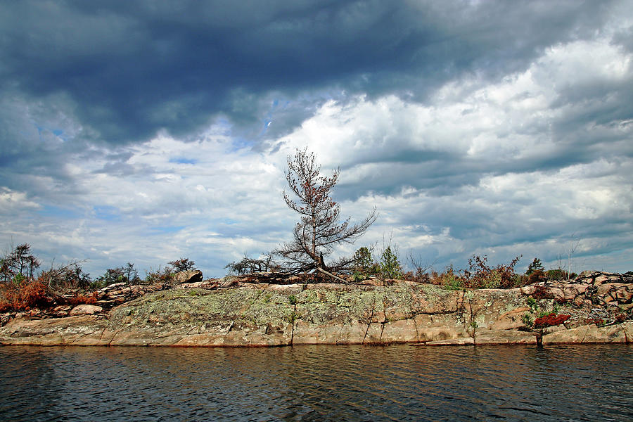 Dead Tree Stormy Sky Photograph by Debbie Oppermann