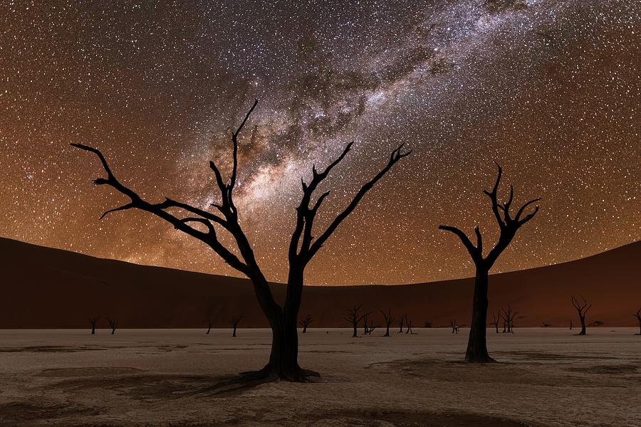 Nature Photograph - Dead Trees At Deadvlei At Night by Ivan Kmit