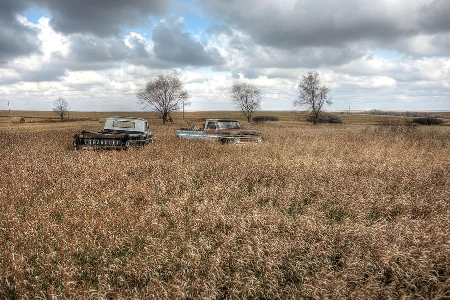 Dead Trucks Photograph by Debra Kewley