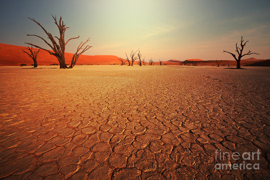 Heat Photograph - Dead Valley In Namibia by Galyna Andrushko Heat Photograph - Dead Valley In Namibia by Galyna Andrushko