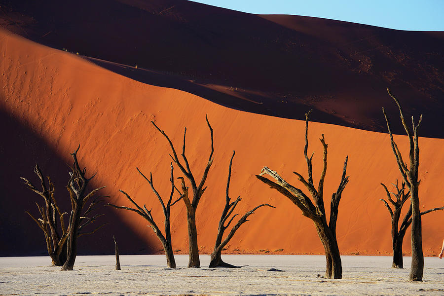 Dead Vlei Namib Desert Photograph by Hiroya Minakuchi