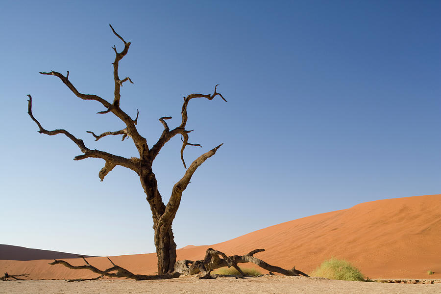 Dead Vlei, Sossusvlei, Namibia Photograph by Paul Souders Dead Vlei, Sossusvlei, Namibia Photograph by Paul Souders