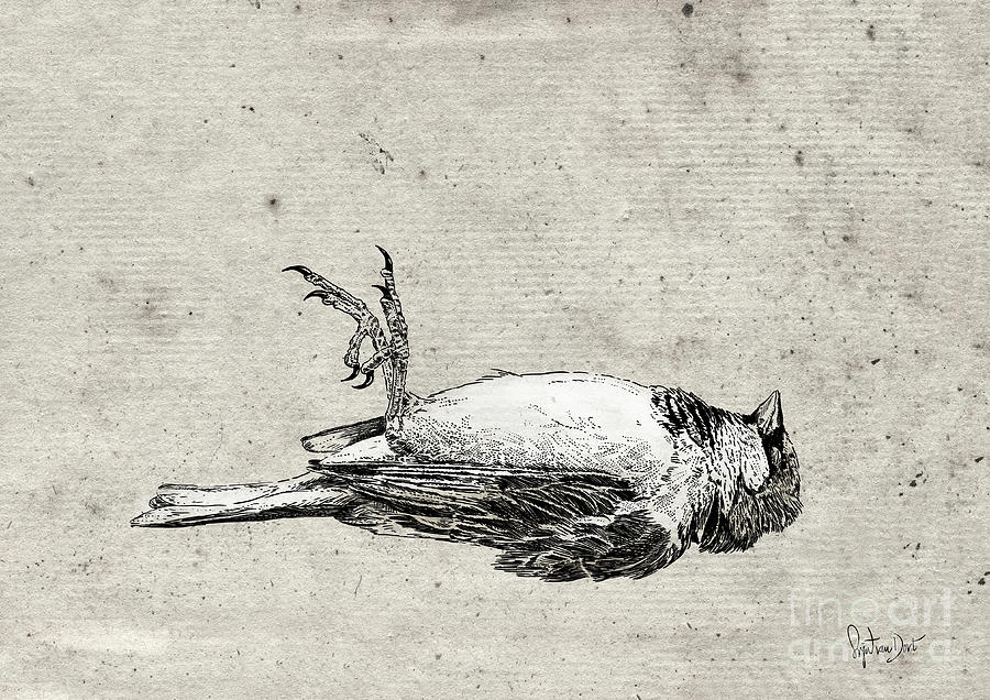 Bird Digital Art - Dead young sparrow by Sigrid Van Dort Bird Digital Art - Dead young sparrow by Sigrid Van Dort