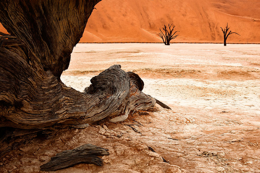 Deadvlei From A Different Point Of View Photograph by Hilde Ghesquiere