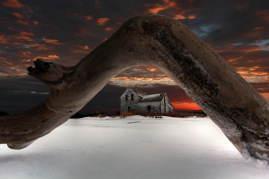 Deadwood Arch Above Abandoned Farm #2 Photograph by Peter Herman