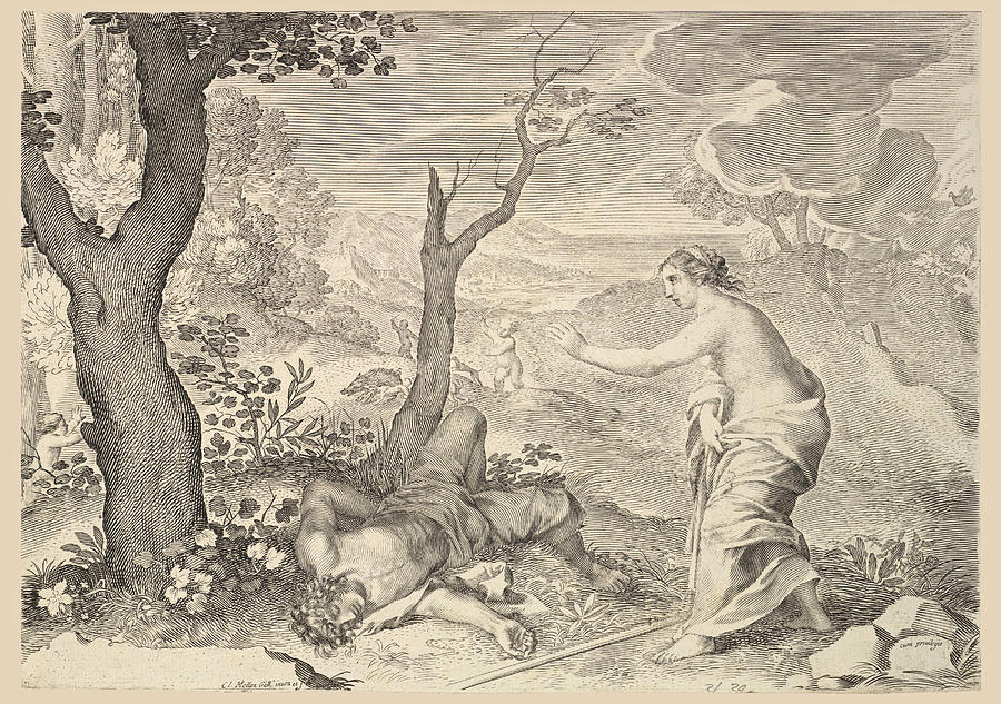 Death of Adonis Drawing by Claude Mellan