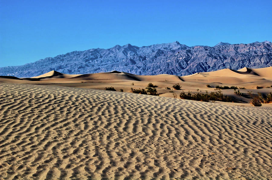 Death Valley Dunes Photograph by Ben Prepelka
