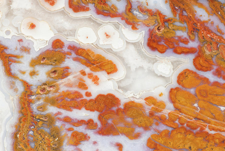 Death Valley Plume Agate, Closeup Photograph by Mark Windom