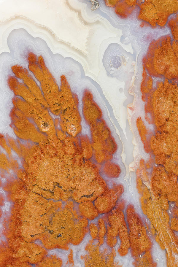 Death Valley Plume Agate Photograph by Mark Windom