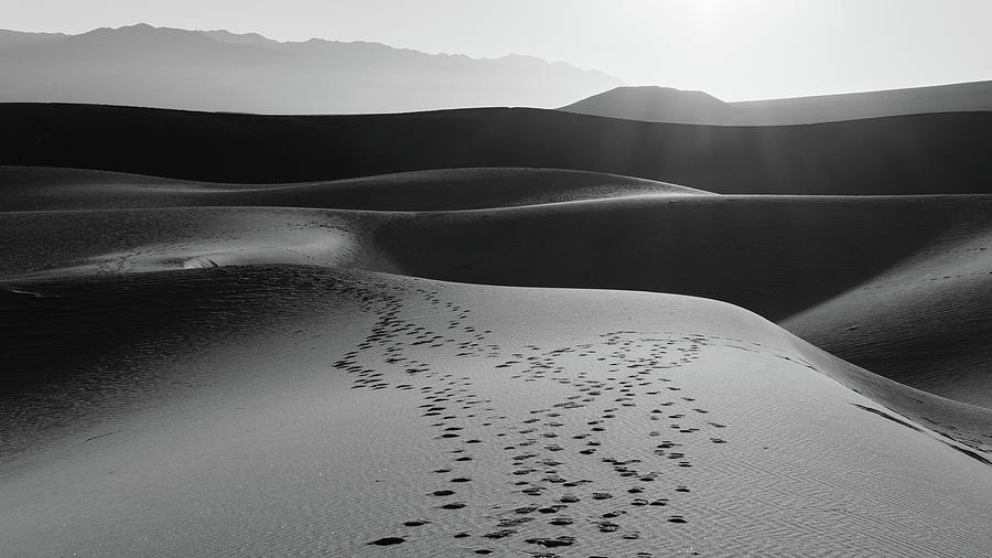 Death Valley Photograph by Scott Rackers