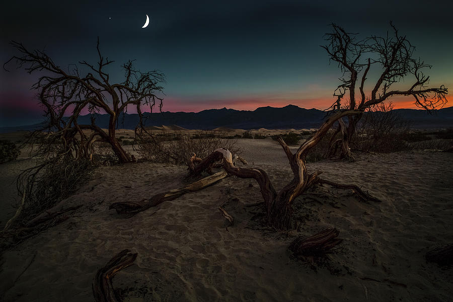 Death Valley Sunrise Photograph by Rick Strobaugh