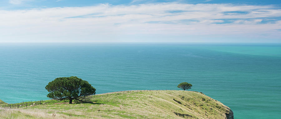Decanter Bay, Banks Peninsula, Canterbury, South Island, New Zealand, Oceania Photograph by Rainer Mirau