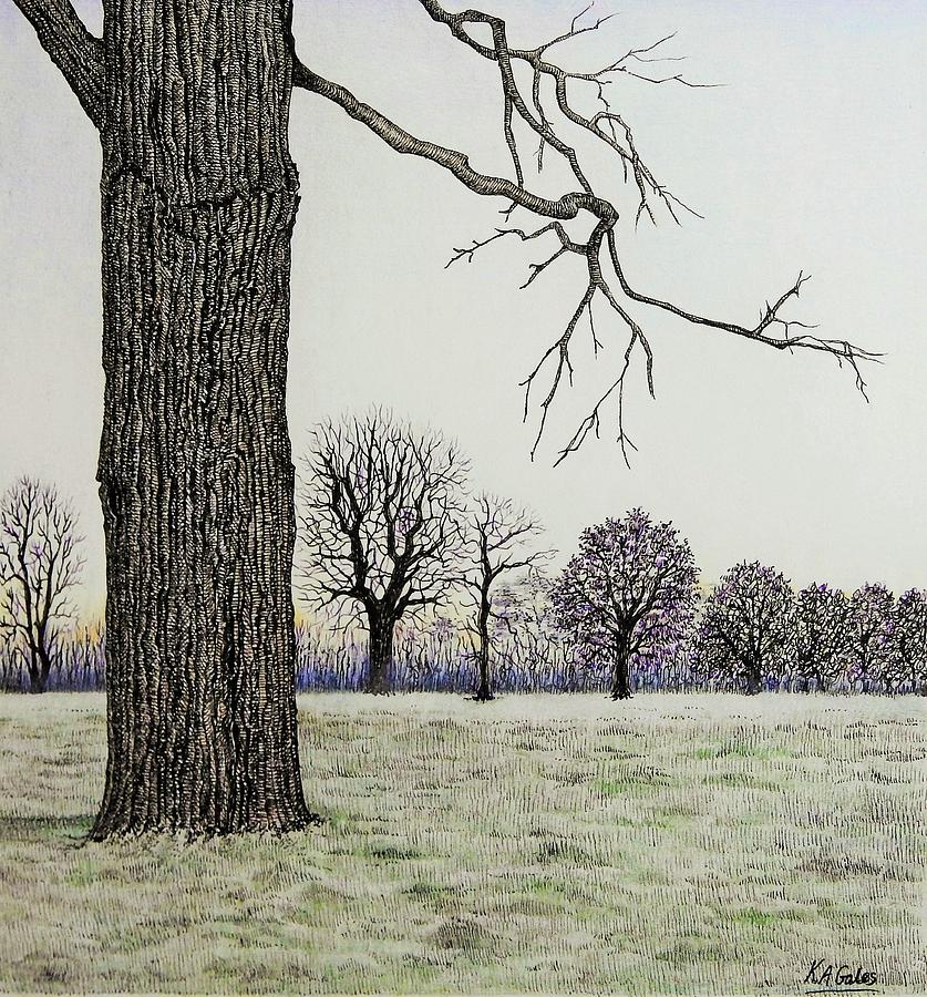 Winter Trees by Kathy Gales Winter Trees by Kathy Gales