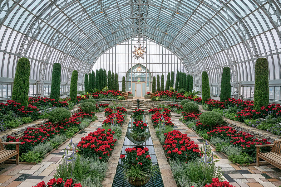 December in the Conservatory Photograph by Rebekah Zivicki