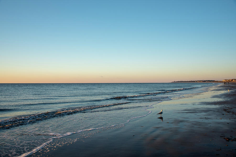 December Morning Along The Atlantic Ocean Photograph by Dennis Schmidt