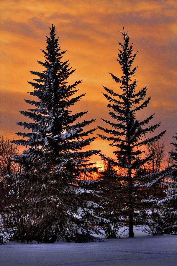 December Sunset Photograph