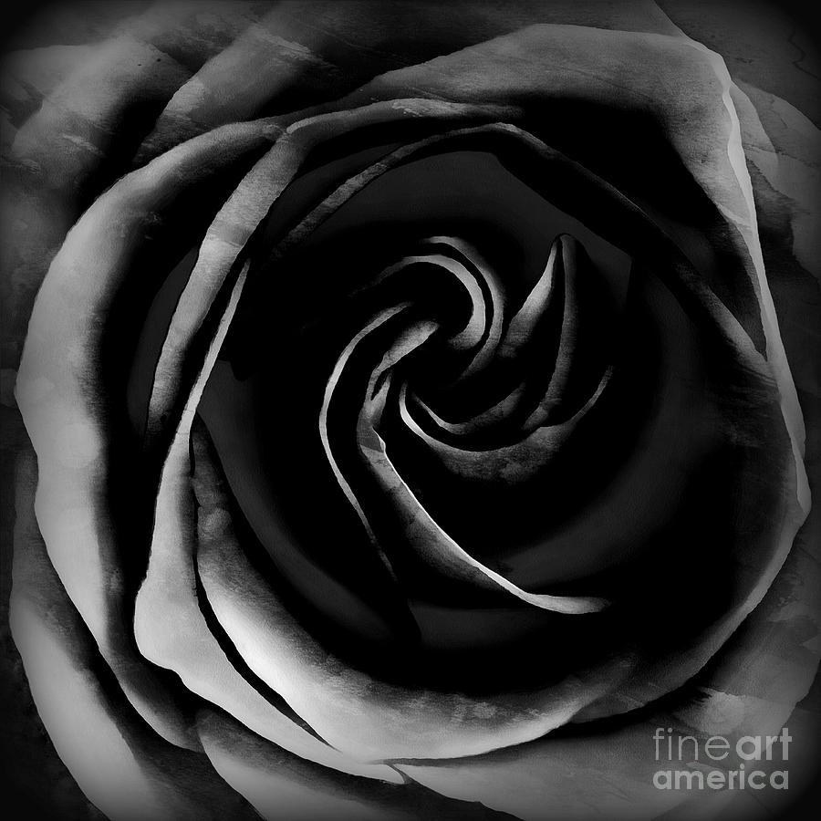 Deception - Black Rose  Photograph by Janine Riley