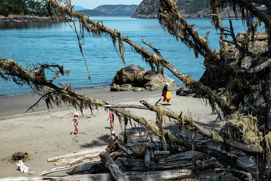 Deception Pass Beach West and Mossy Branches by Tom Cochran Deception Pass Beach West and Mossy Branches by Tom Cochran