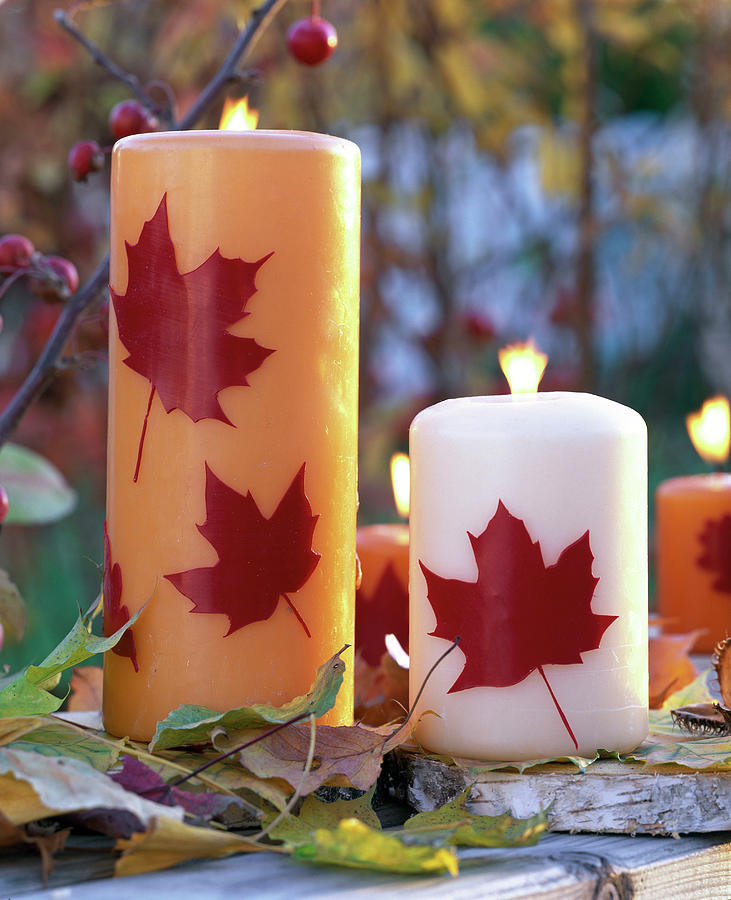 Decorate Candles With Wax Leaves Photograph by Friedrich Strauss - Fine ...