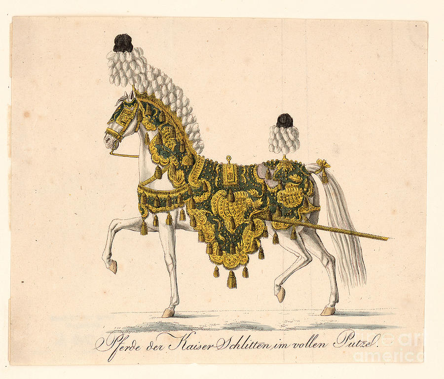 Decorated Horse Furniture Drawing by Heritage Images