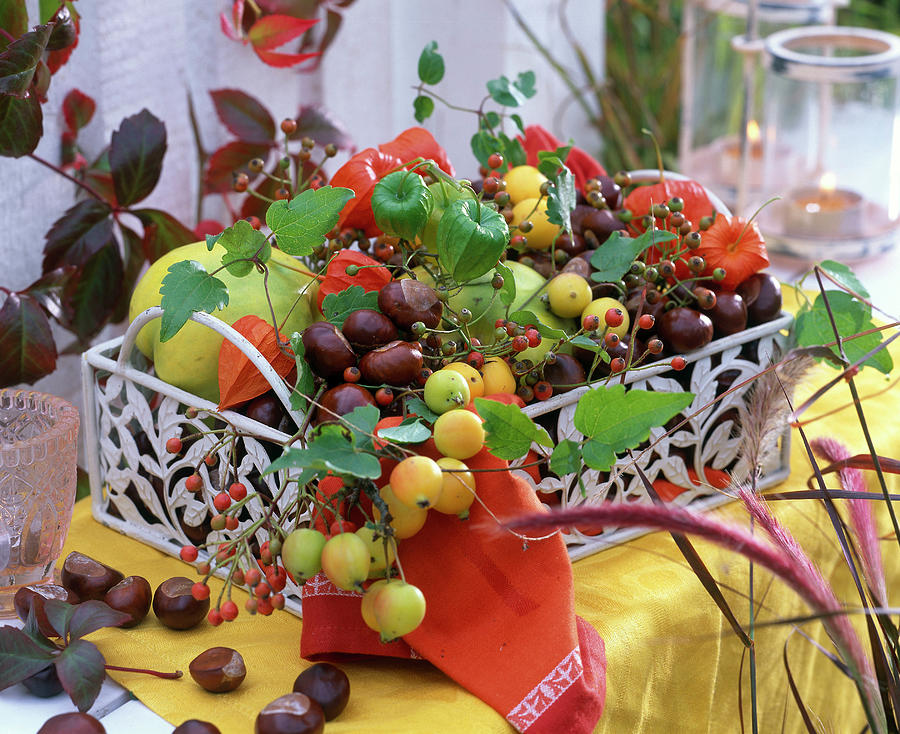 Decoration With Fruits And Chestnuts Photograph by Friedrich Strauss
