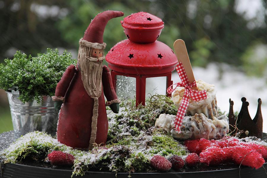 Decorative Father Christmas Figure In Moss With Bird Food And Berries Photograph by Barbara Ellger
