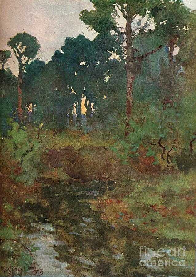Decorative Landscape Study, C.1903 Drawing by Print Collector Decorative Landscape Study, C.1903 Drawing by Print Collector